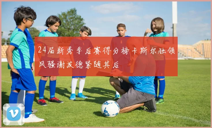 24届新秀季后赛得分榜卡斯尔独领风骚谢泼德紧随其后